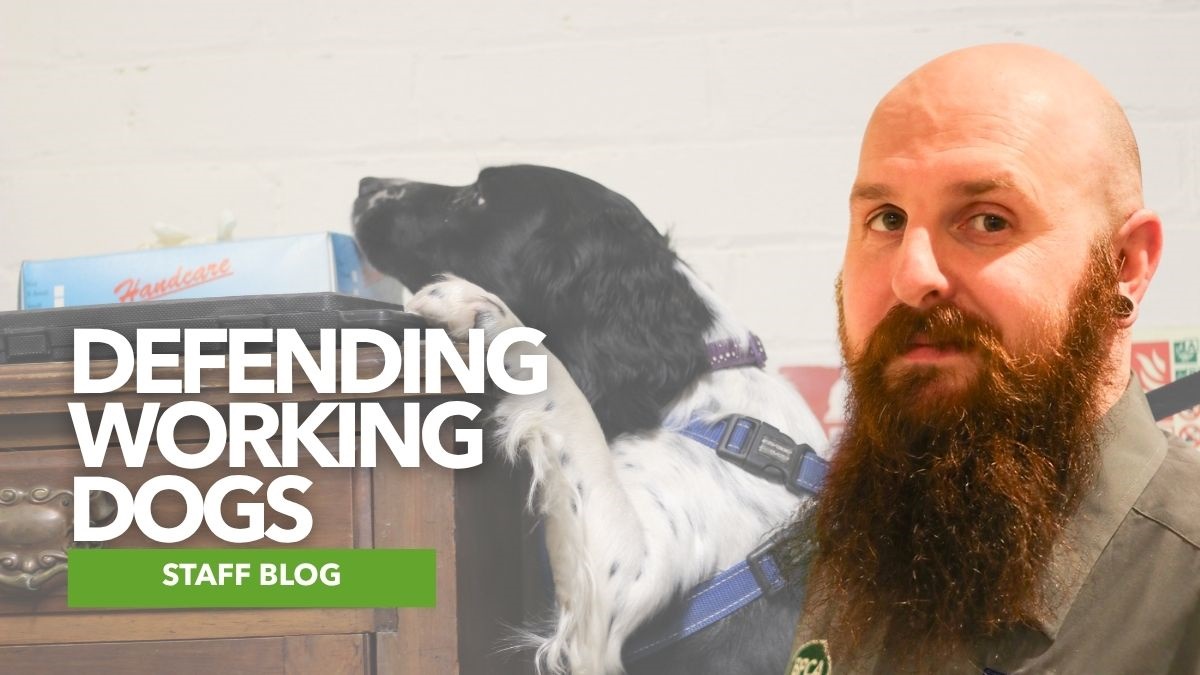 Defendworkingdogsheroimage